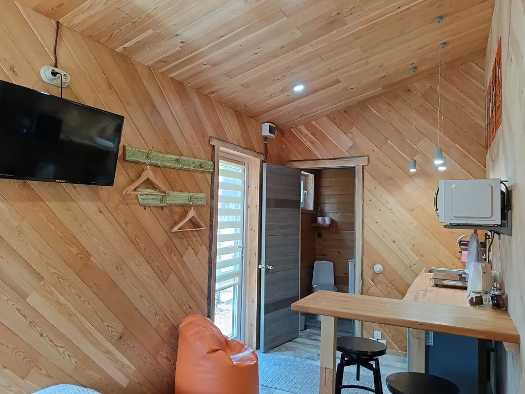 Дом морошка