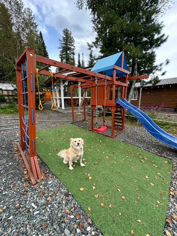 Коттедж Гостевой двор Дом в кедрах — Шерегеш