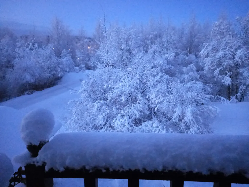 Коттедж Домик с сауной и зоной барбекю — Сортавала