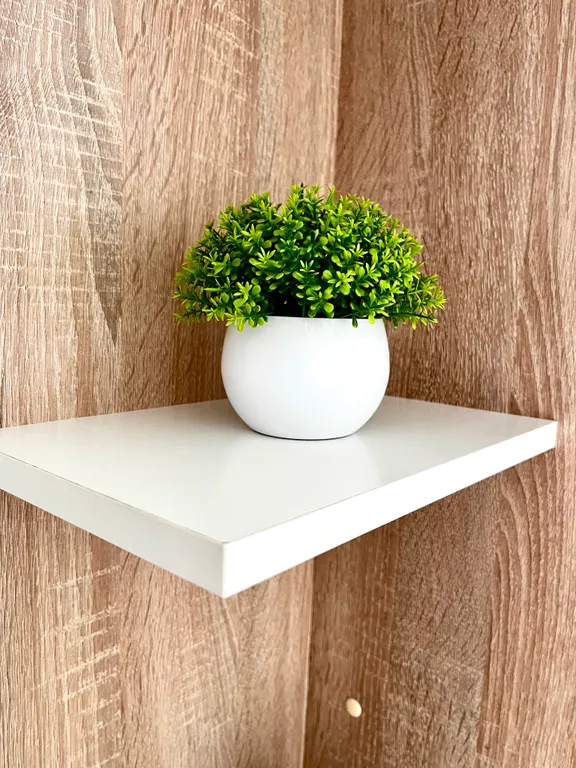 Апартаменты на Заставе