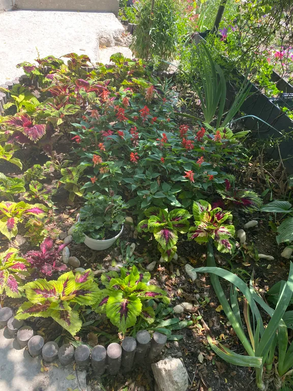 Коттедж Дом с камином в экопоселке у подножья гор — Инкерман