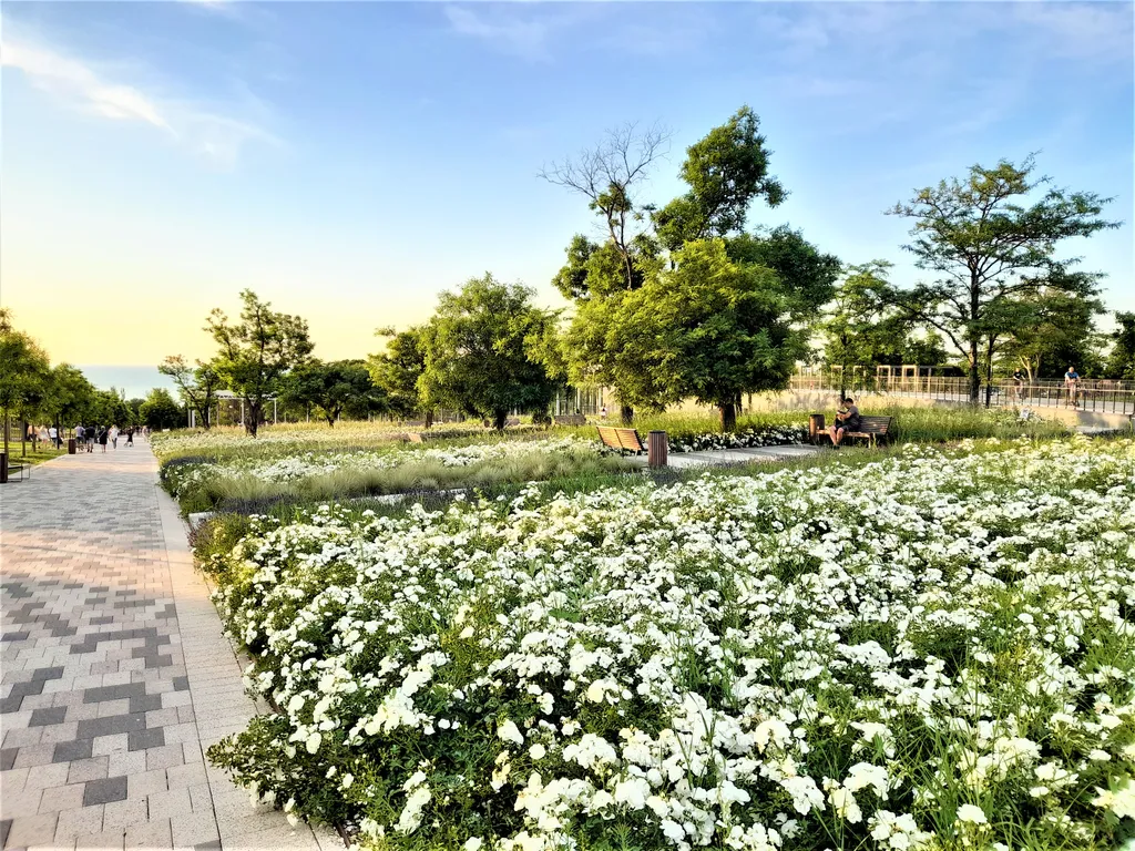 Квартира Квартира Видовой апартамент люкс Учкуевка, Севастополь — Севастополь