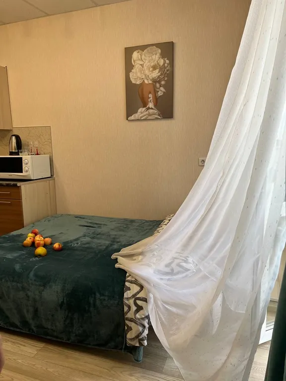 Уютная студия в современном комплексе Октава