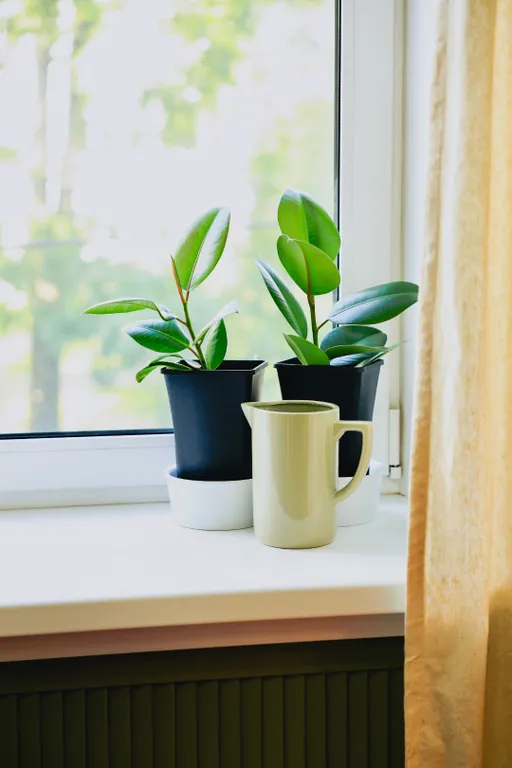 Квартира в центре с видом на парк