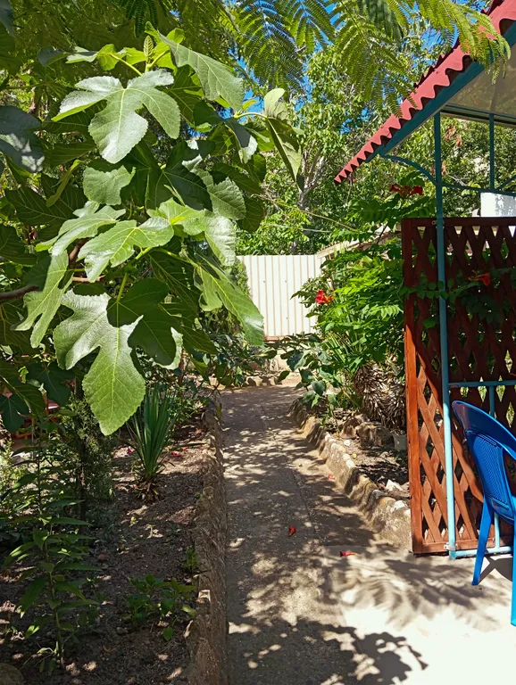 Двухкомнатный номер с беседкой