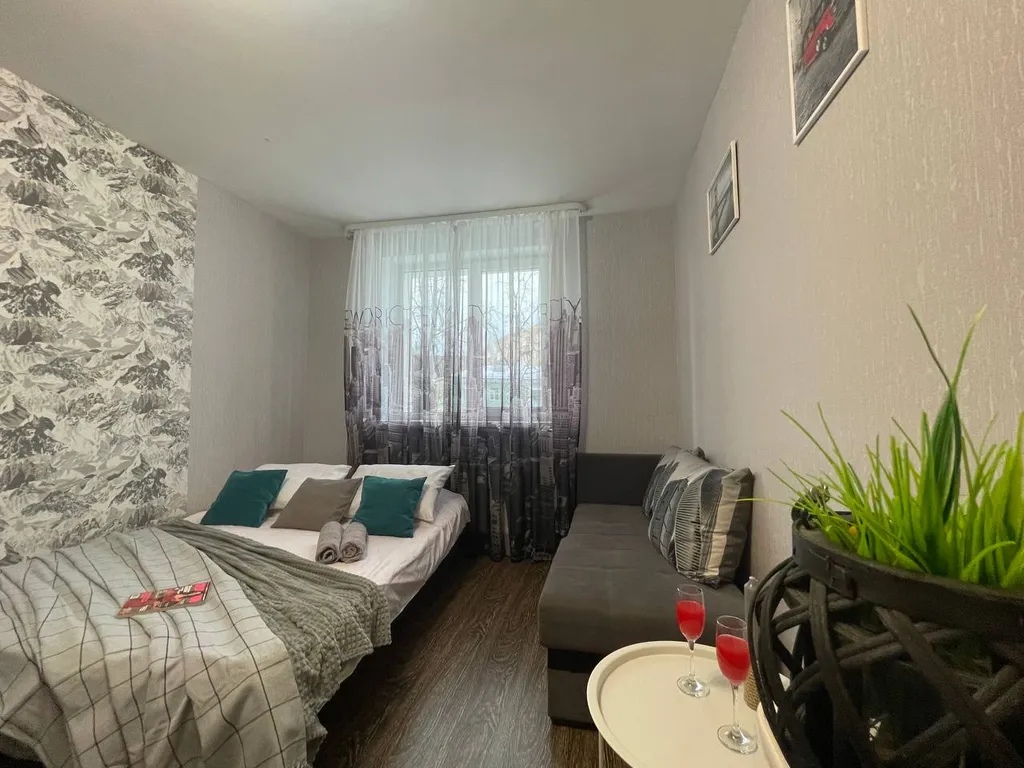 Уютная однокомнатная квартира от сети гостевых квартир Олимп