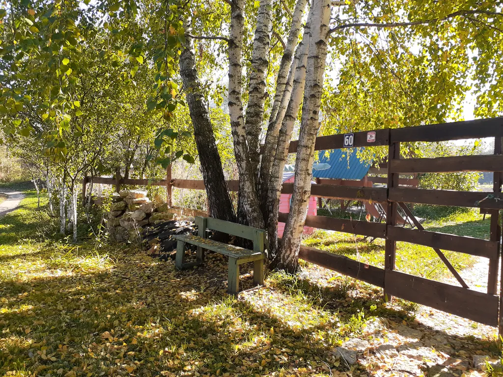 Дом в деревне на Дону в сосновом лесу