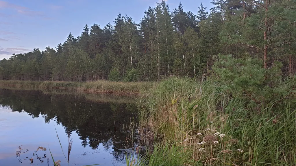 2к.квартира у санатория Хилово в 18 мин от Порхова со всеми удобствами