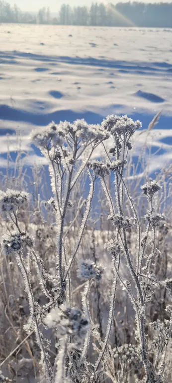 Уютный домик в стиле Прованс