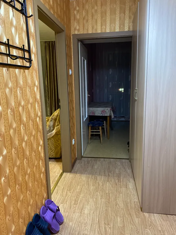 1-комнатная уютная квартира на Куйбышева (Хольцман)