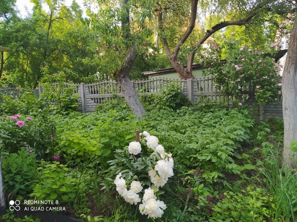Апартаменты с парковочным местом и барбекю в самом центре