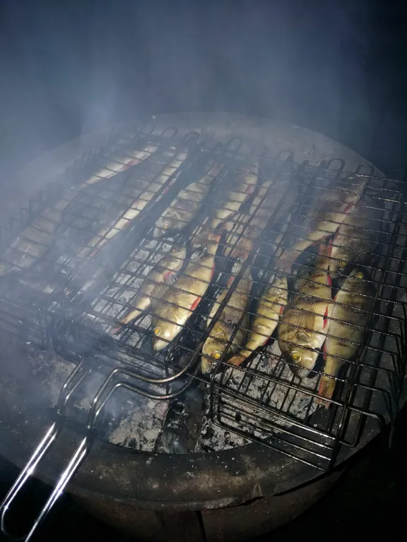 Отдых в видовом месте