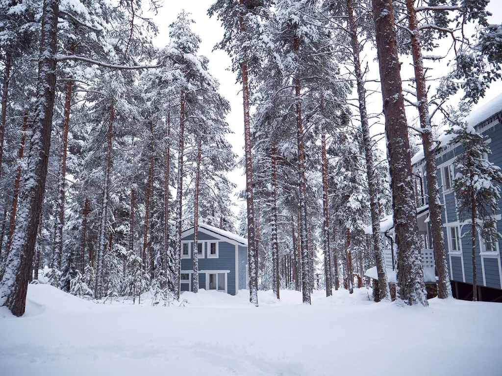 Уютный и просторный коттедж в сосновом бору на берегу озера