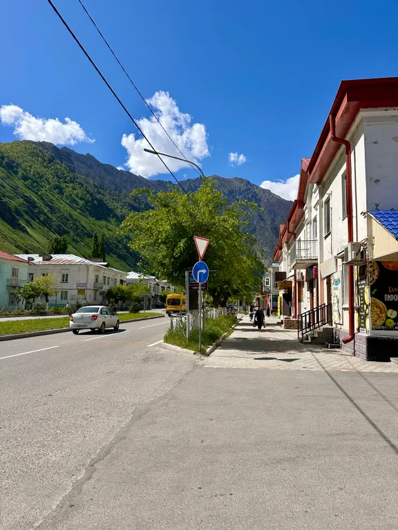 Уютная квартира в центре города с видом на горы