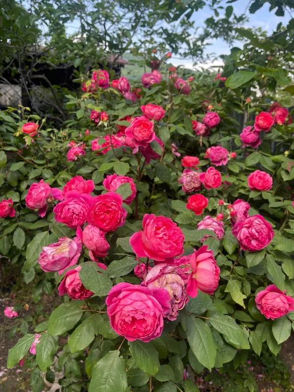 Квартира 1-комнатная Квартира — Геленджик