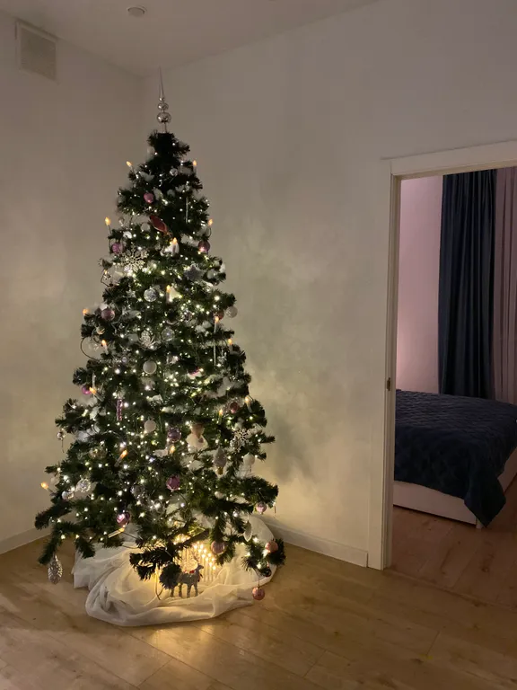 Квартира профессора в 7 минутах от жд вокзала