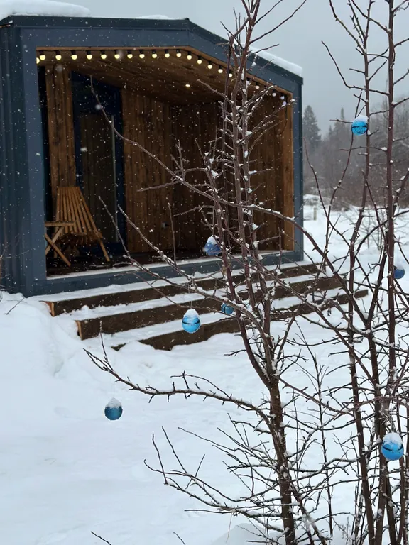 Дом в лесу в стиле барн