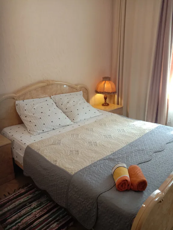 Квартира Smart студия у цирка — аренда посуточно в Воронеж