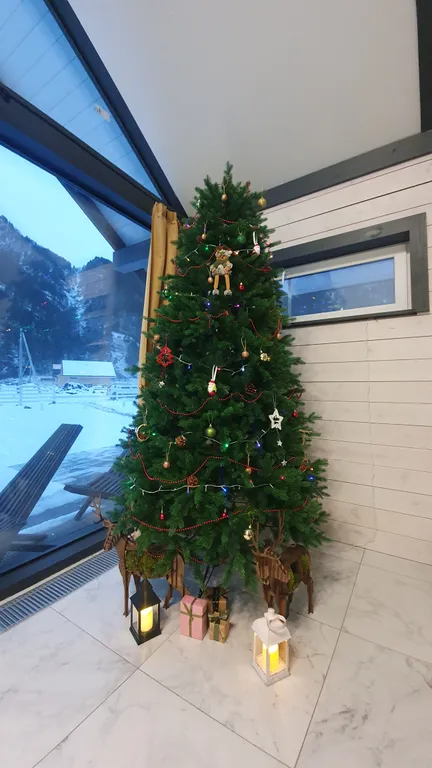 Коттедж на Алтае с великолепным видом на горы