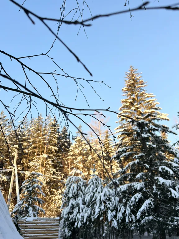 Уютный треугольный дом в окружении леса