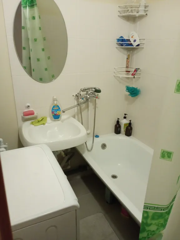 Евродвушка в новом доме с видом на лес