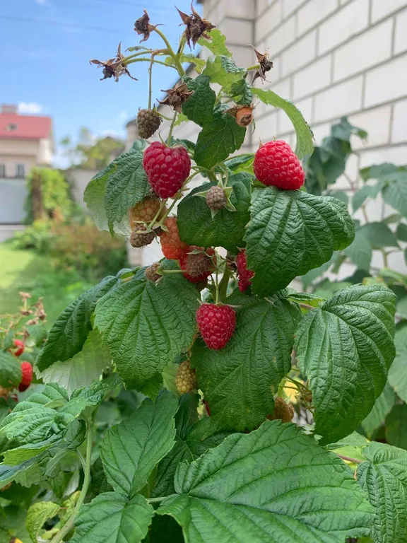 Дом для отдыха в зелёной части города