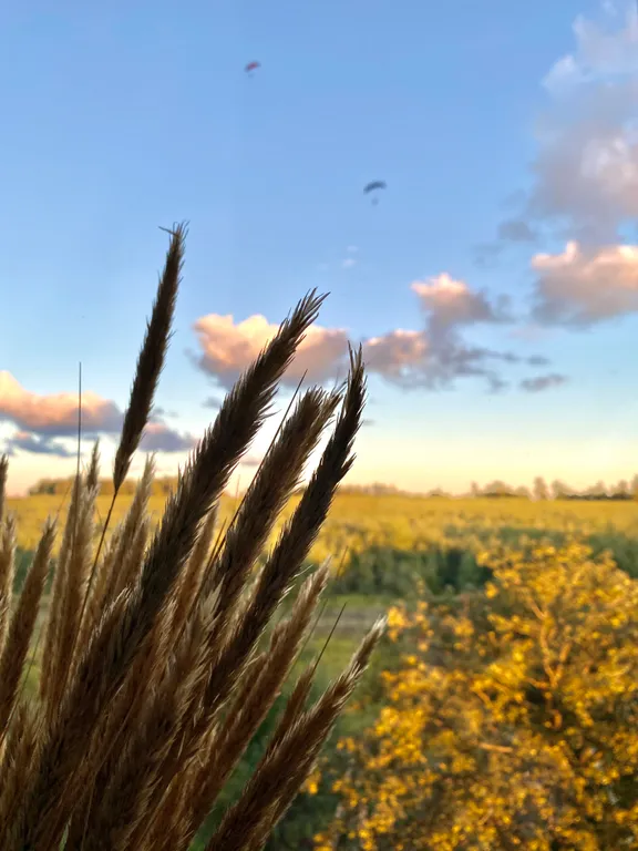 Квартира Квартира Апартамент Mint — Светлогорск