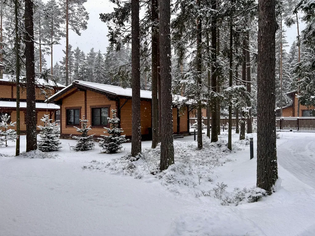 Лесной домик у курорта Охта Парк