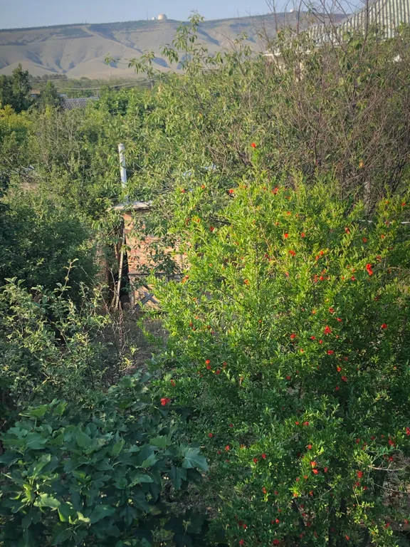 Дача рядом с морем, недалеко от пгт Орджоникидзе