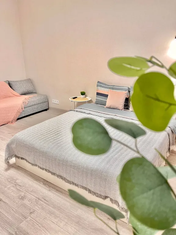 Уютная однокомнатная квартира