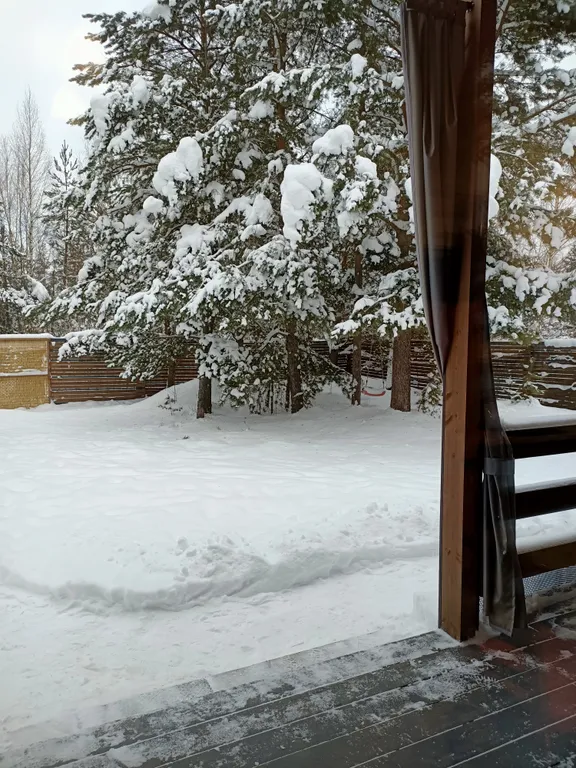 Уютный барнхаус с видом на лес