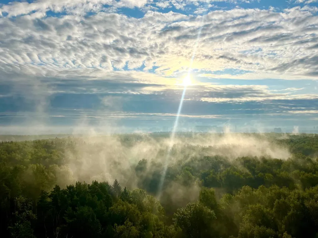 Истоман 2+2 с видом на Лес