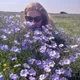 Алевтина