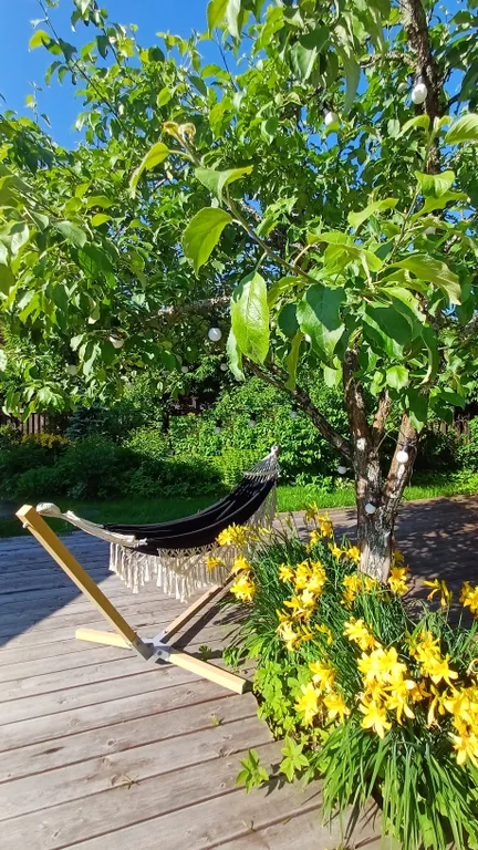 Коттедж Уютный дом рядом с Финским заливом — Солнечное