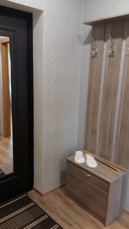 Квартира 1-комнатная Квартира — Луга