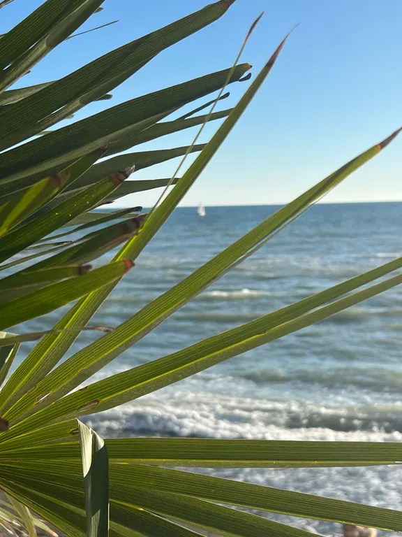 Первая береговая моря - студия с шикарной террасой