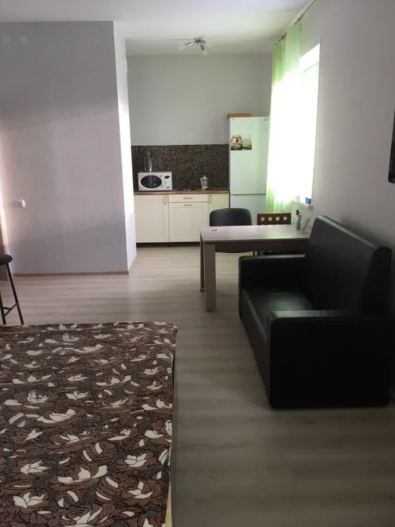 Студия в центре