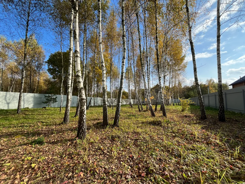 Загородный дом для отдыха с компанией