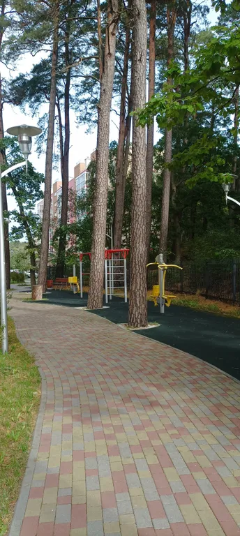 Квартира 1-комнатная Квартира — Светлогорск