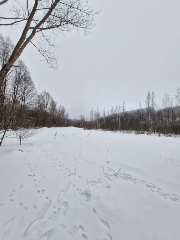 Коттедж А-фрейм с видом на озеро и лес — Казань