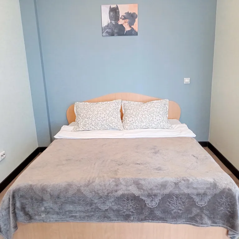 Просторная студия в центре города