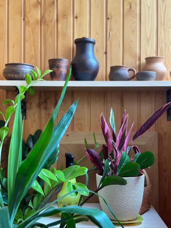 "7 дверей"  85 м. кв. трехкомнатная квартира с видом на Волгу