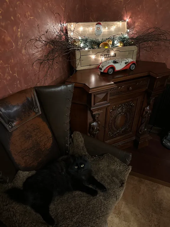 Профессорская дача