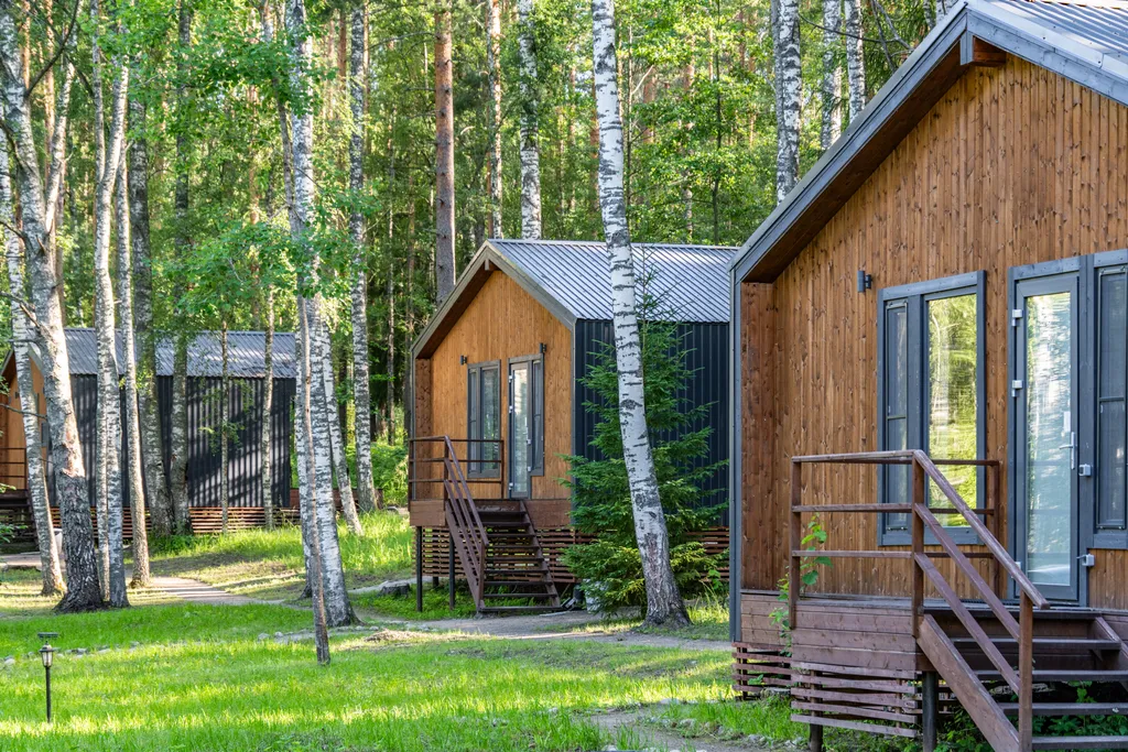 Дом с видом на лес