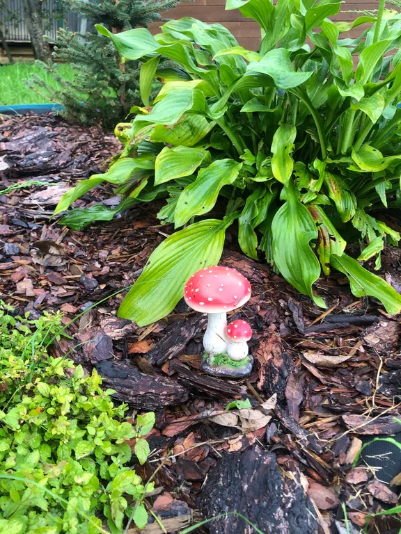 Домик у озера (с баней и сибирским чаном)