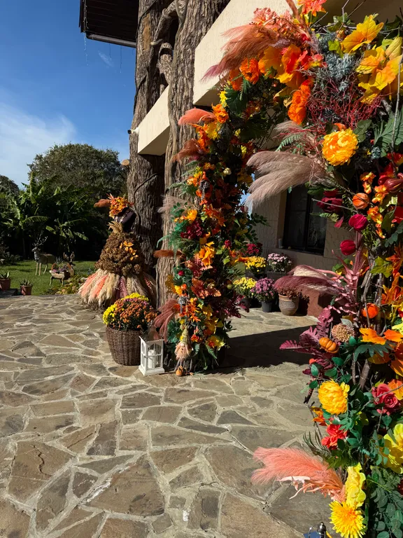 Аристова дача