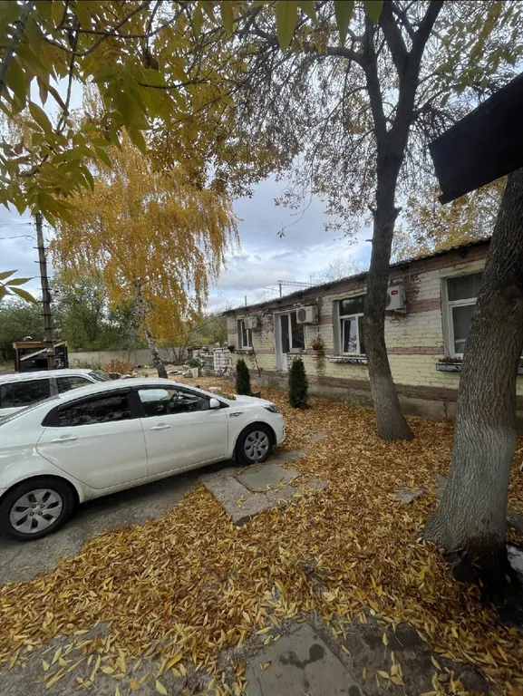 Орхидея рядом с молл мармелад