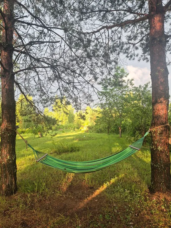 Эко - дом в лесу в гостях у Миродары