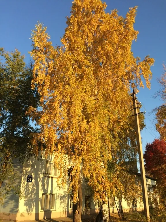 Квартира 2-комнатная Квартира — Обь