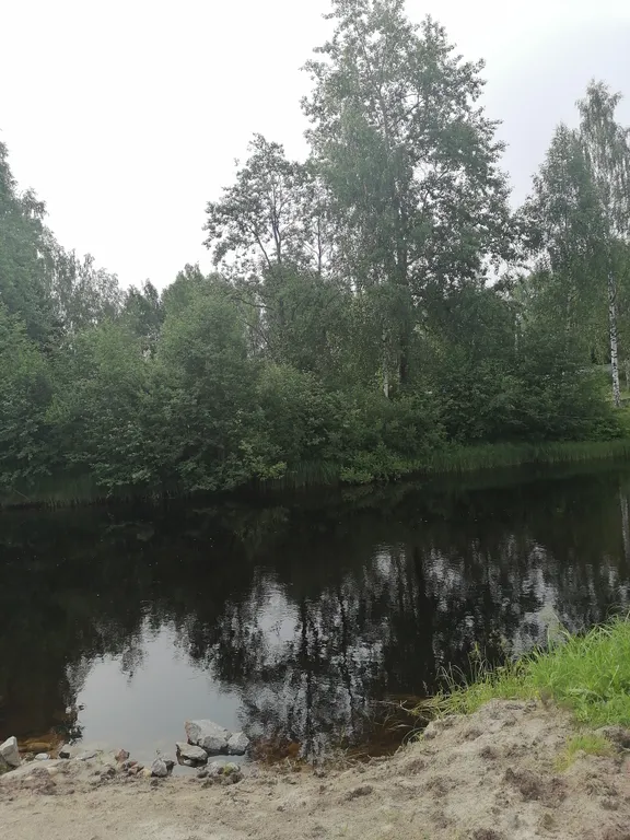 Уютный домик у реки